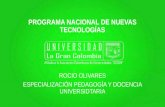 Programa Nacional de Nuevas Tecnologías Taller 3 Rocio Olivares