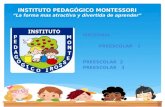 Instituto Pedagógico Montessori