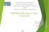 Depreciacion y sus causas