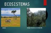 Exposición de Ecosistemas.