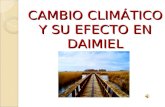 El cambio climático y su efecto en daimiel