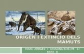 Origen i extinció dels mamuts