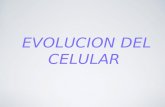 La evolución del celular