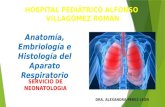 Anatomía, embriología e histología del aparato respiratorio