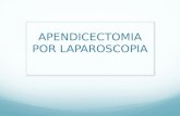 Apendicectomia laparoscopia