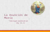 Tema 5 : Asunción de María