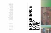 Experience loop live_2013