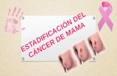 Estadificación del cáncer de mama