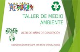 Taller de Medio Ambiente - Liceo de niñas Concepción 2015