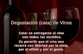 Degustacion de Vinos 20/Oct/2011