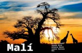 Desenvolupament econòmic:Mali