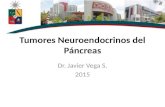 Tumores neuroendocrinos del páncreas