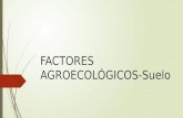 5 factores agroecológicos suelo