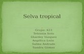 Selva tropical (1)
