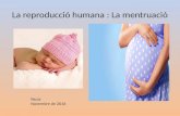 La reproducció humana, Paula Jiménez, Roureda