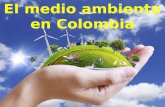 El medio ambiente en colombia