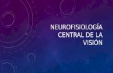 Neurofisiologia central de la vision ojo iii