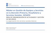 Master GESAPH.Sesión Servicios Sociales Básicos.10.06.2015