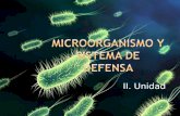 Ppt bacterias 5
