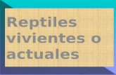 Generalidades de reptiles vertebrados 2015 (2)