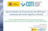 Taller: "Oportunidades de financiación del CDTI para empresas del sector agrario y forestal", por Carlos Ignacio Franco - Centro para el Desarrollo Tecnológico e Industrial (CDTI)