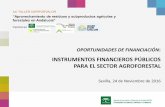 Taller: "Oportunidades de financiación: Instrumentos financieros públicos para el sector agroforestal", por Juan Antonio Delgado - Agencia IDEA.