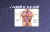 Aparell circulatori 2