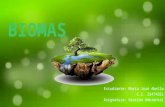 Diferentes Biomas