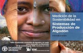 Medición de la Sostenibilidad en Sistemas de Producción de Algodón - Presentación Francesca Mancini, Oficial de la FAO, Roma.