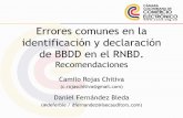 Errores comunes en la identificación y declaración de BBDD en el RNBD