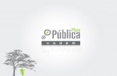 Plaza Pública Cadem: Estudio N° 114