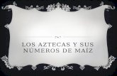 Los aztecas y sus numeros de maiz