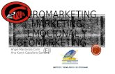 Neuromarketing, marketing emocional y geomarketing
