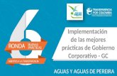 Práctica X: Implementación de las Mejores Prácticas en Gobierno Corporativo Aguas y Aguas de Pereira