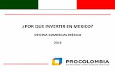 Por que invertir en México