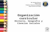 Organizacion Curricular Historia
