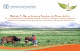 Módulo 5: Mecanismos y fuentes de financiación para las NAMA del sector AFOLU. Herramienta de aprendizaje sobre medidas de mitigación apropiadas para cada país en el sector de