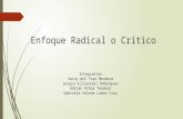 Enfoque radical o crítico