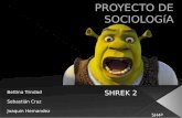 Proyecto de sociología