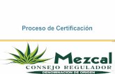 Proceso de certificación MEZCAL