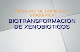 Biotransformacion xenobioticos