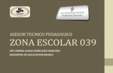 Asesor tecnico pedagogico 039