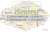 Consumidor, cliente, comprador y usuario. mapa mixto