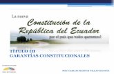 Constitucion 2008 iii