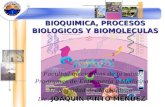 Bioquimica, procesos biologicos y complejidad de la  biomoleculas