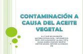 CONTAMINACIÓN A CAUSA DE LOS ACEITES VEGETALES
