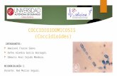 Coccidioidomicosis (Infección causada por hongos)