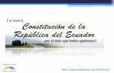 Constitucion 2008