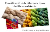 Classificació dels diferents tipus de fibres existents