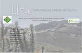 Proyecto lloa, Instituto Tecnologico Superior Cordillera, 5to A, Matutina ITSCO